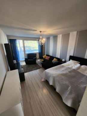 Cozy and Quiet 2-room aparment
